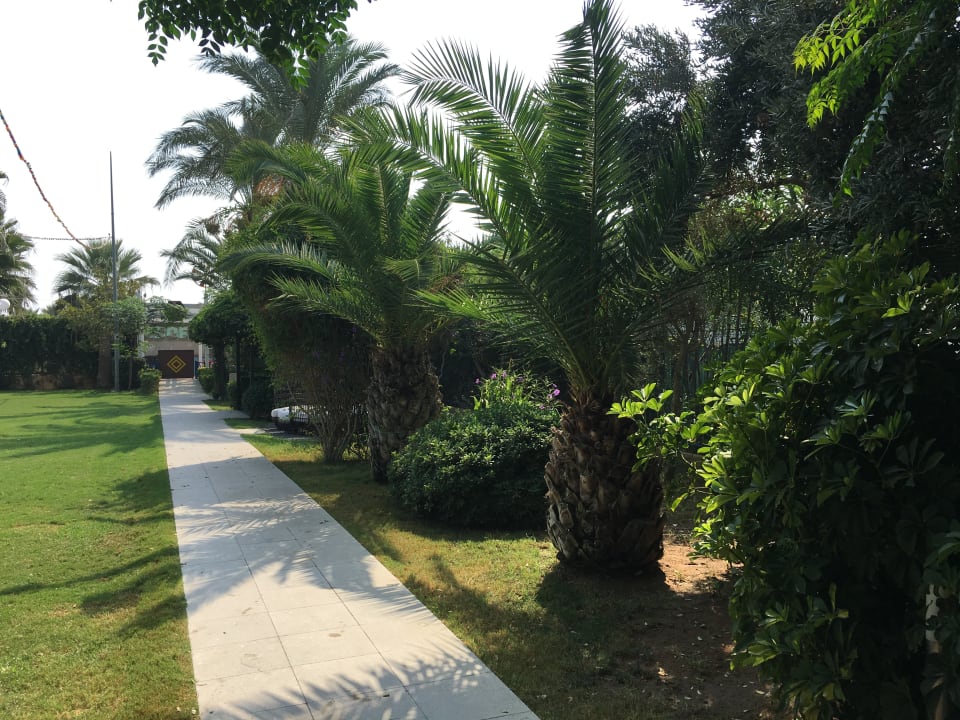 Gartenanlage Belek Beach Resort Hotel