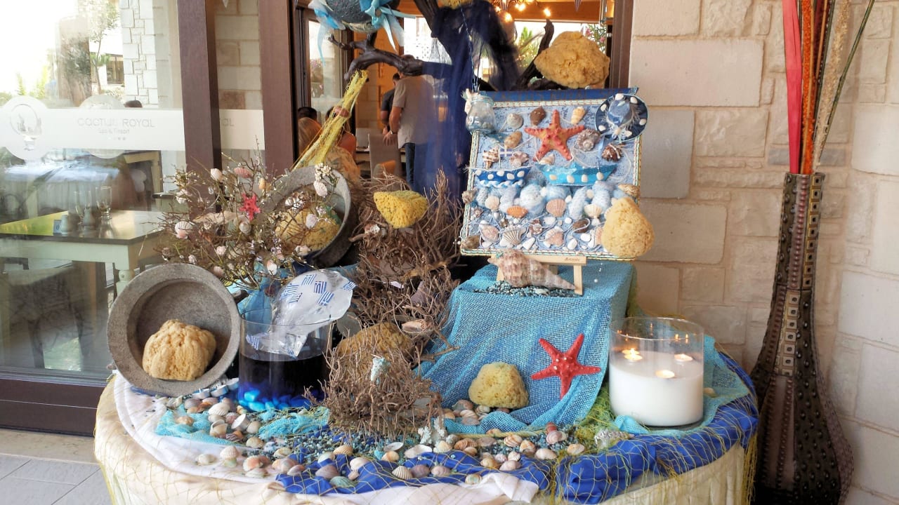 Griechischer Abend Cactus Royal