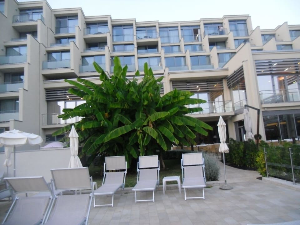 Poolbereich mit  Hotel Valamar Parentino Hotel