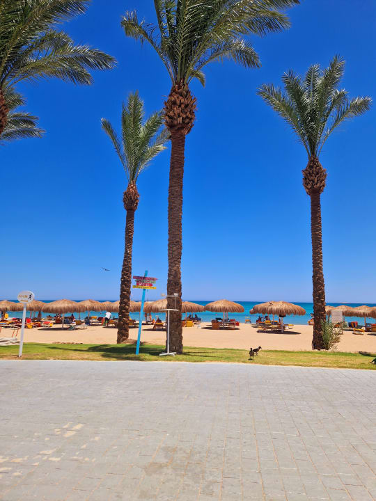 Strand Sentido Caribbean World Soma Bay