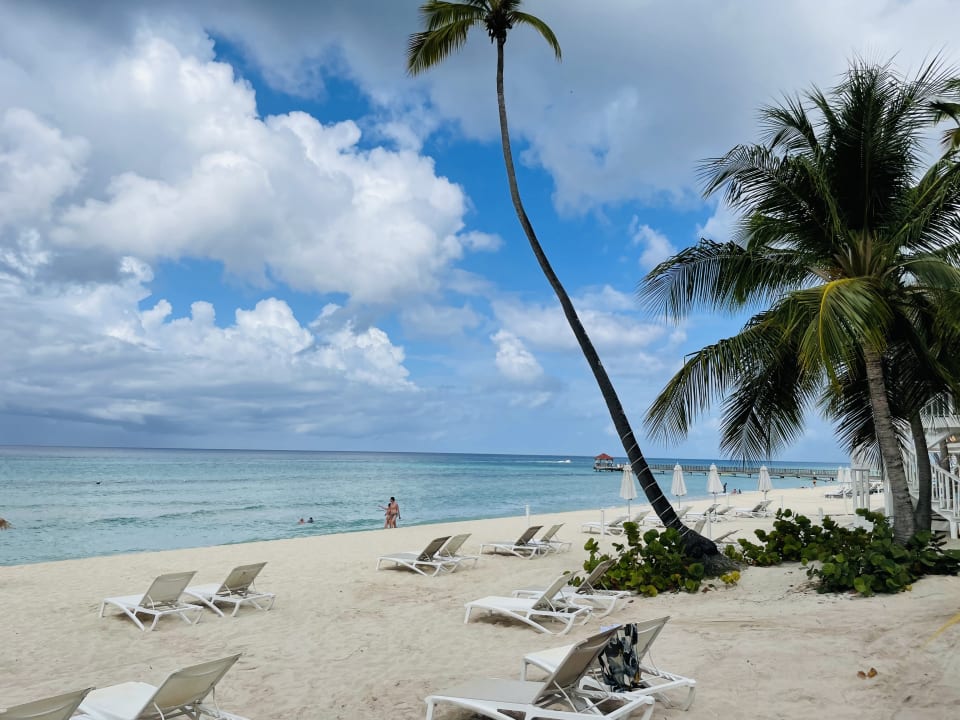 Strand Catalonia Royal La Romana - Adults only