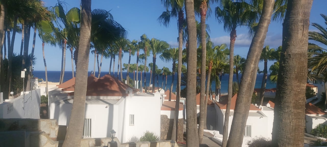 Ausblick Bahia Calma Beach