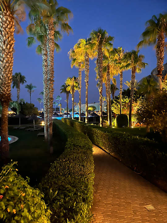 Gartenanlage Atlantica Aegean Blue