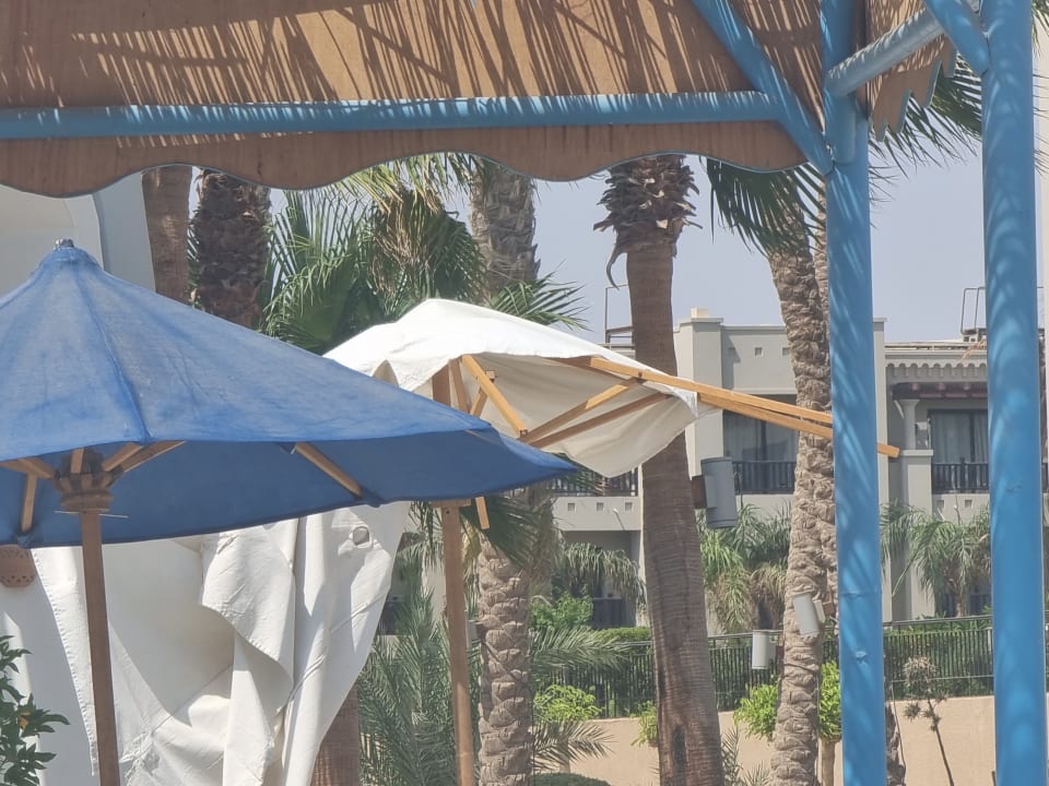 Gartenanlage Marina Resort Port Ghalib, a member of Radisson Individuals