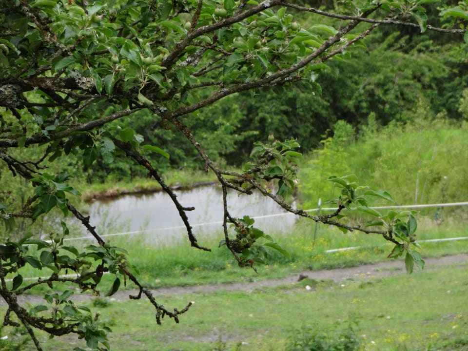 Gartenanlage LUXGUT - OLIVIA