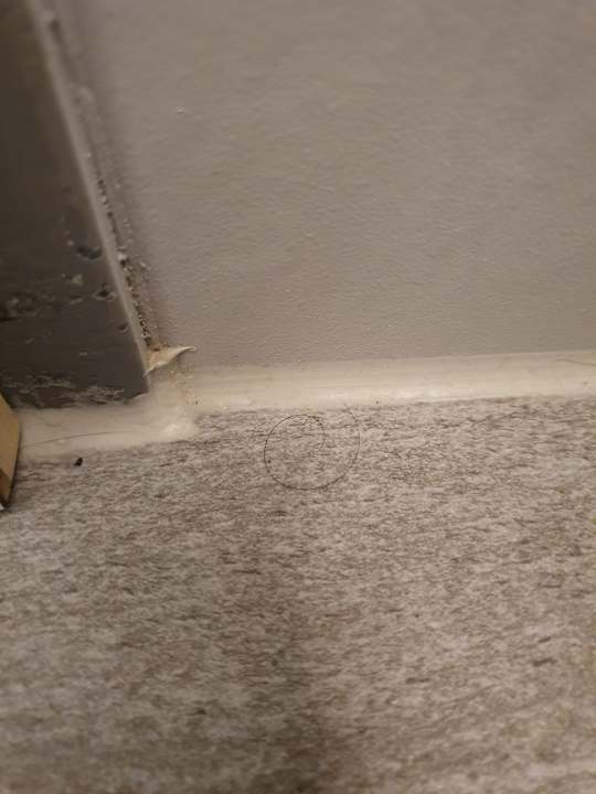 Zimmer Best Western Plus Parkhotel Erding