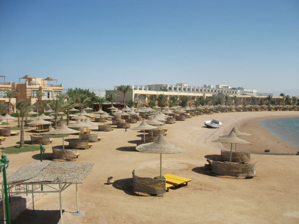 Strand an Lagune Desert Rose