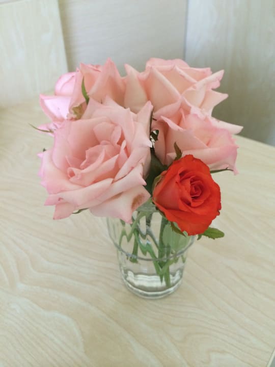 Kleine Aufmerksamkeit des Hauses Hotel Kouros Palace