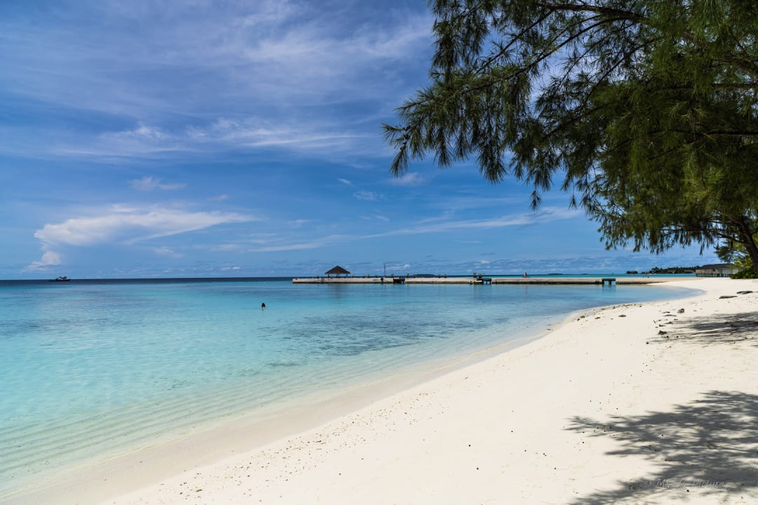 Strand Summer Island Maldives