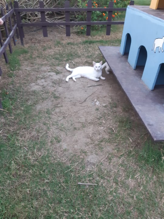 Sonstiges Port Nature Luxury Resort & Spa