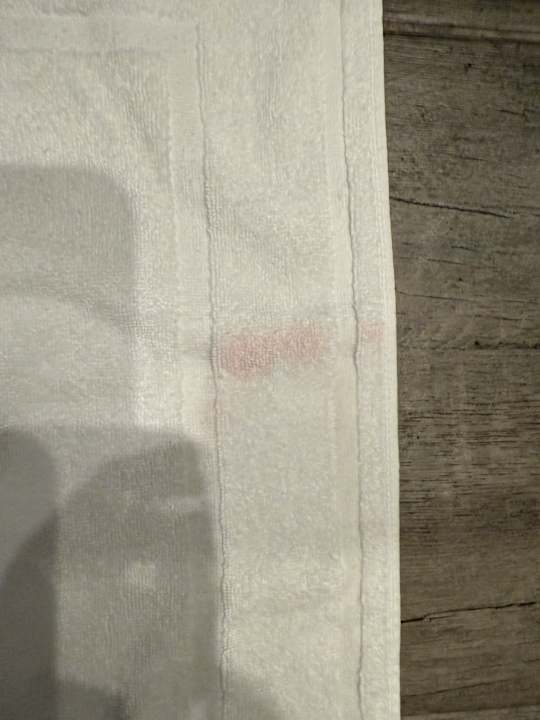 Zimmer ibis Styles Magdeburg