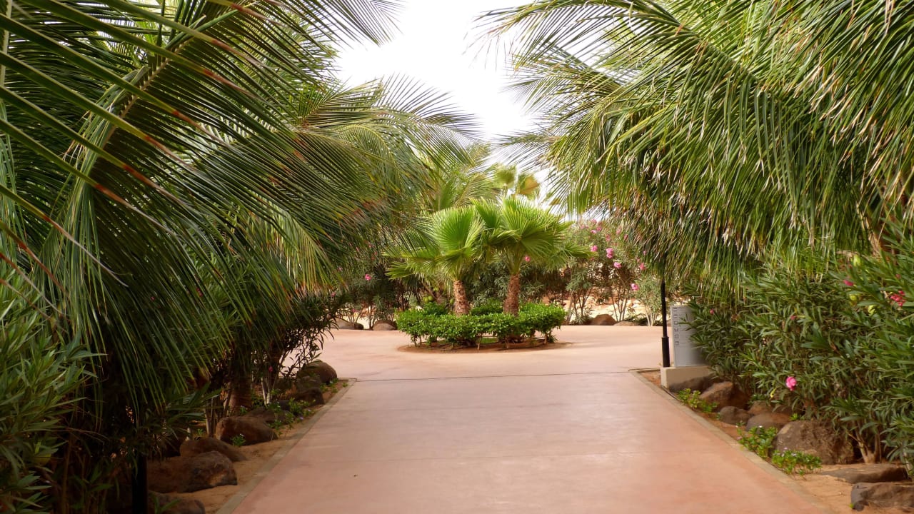 Begrünte Wege Hotel Riu Touareg
