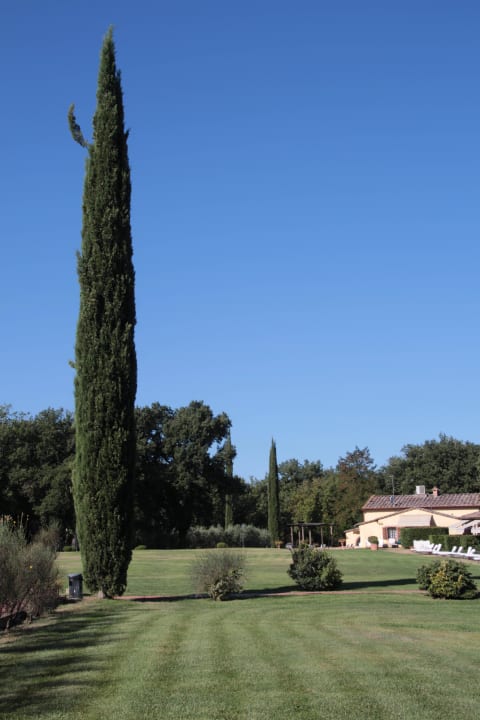 Zypresse Hotel Borgo San Luigi