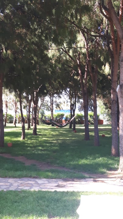 Gartenanlage Club Turtas Beach Hotel