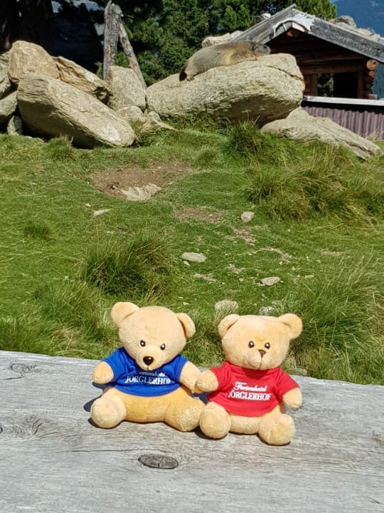 Sonstiges Hotel Jörglerhof