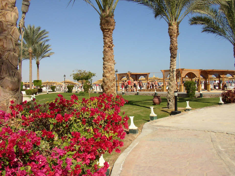 Im Garten Pickalbatros Dana Beach Resort - Hurghada