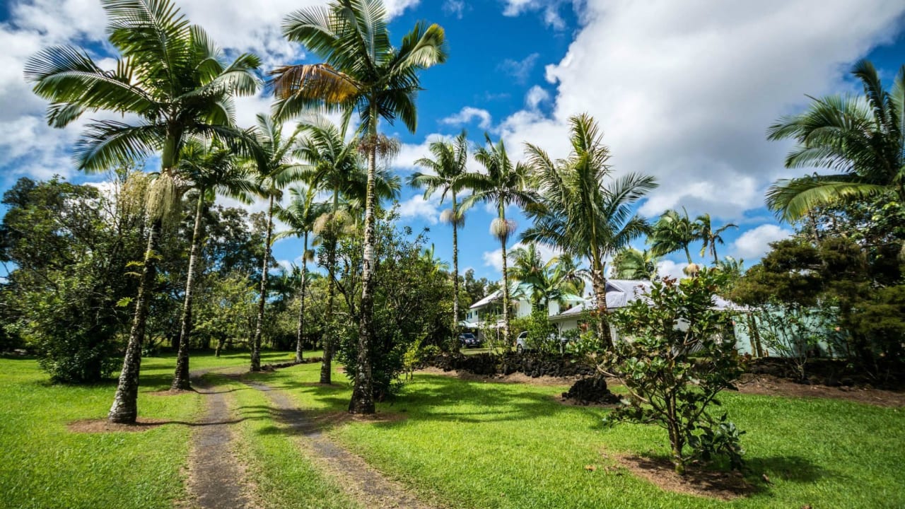 Garten auf dem Weg zum Hotel Hotel Lava Tree Tropic Inn