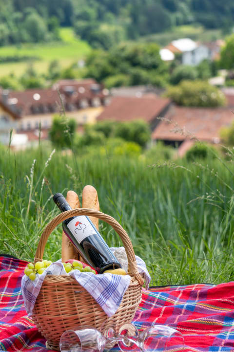 Ausblick Hotel Dirsch Wellness & Spa Resort