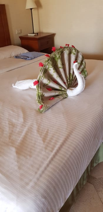 Zimmer Ghazala Gardens