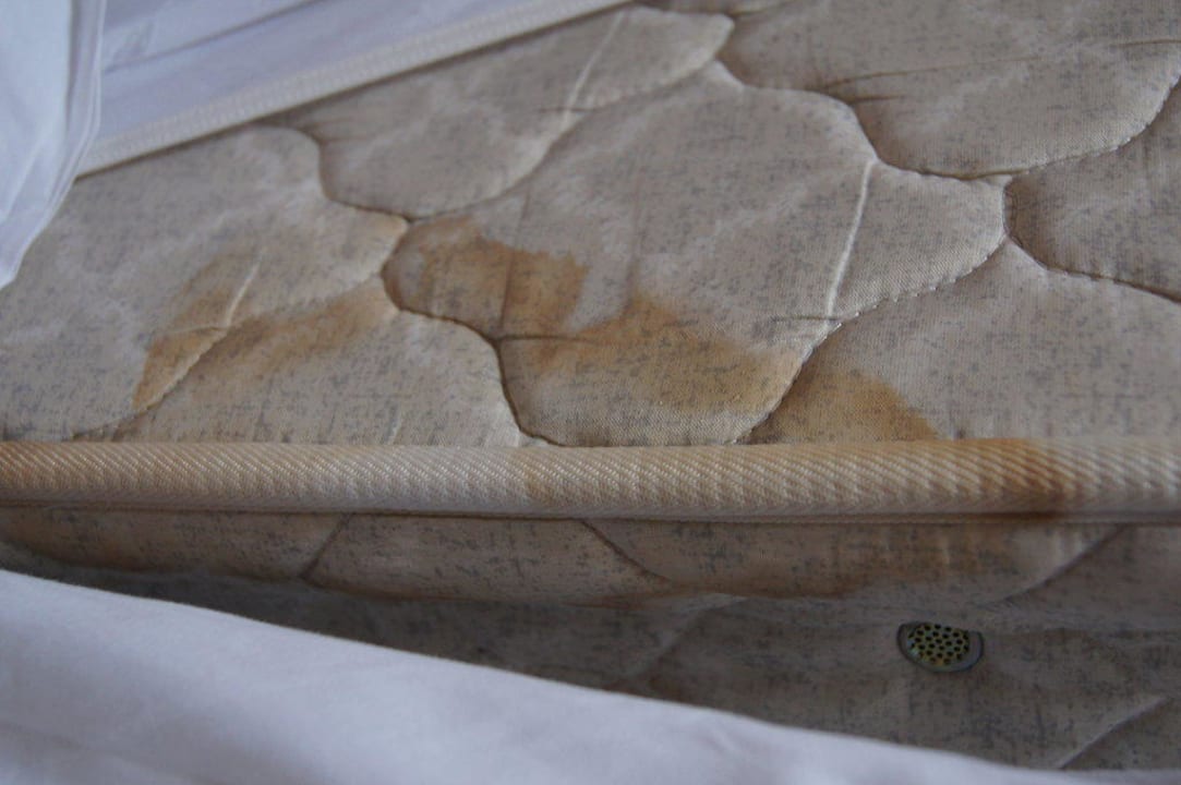 Unsere Matratze allsun App.-Hotel Albatros