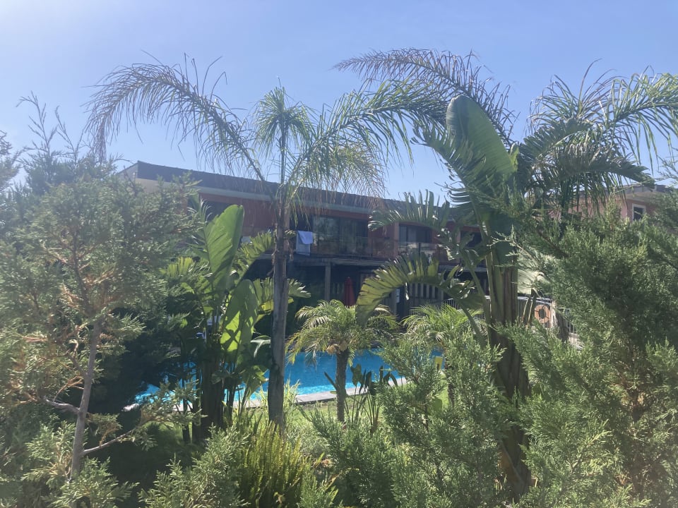 Garten Megasaray Club Belek