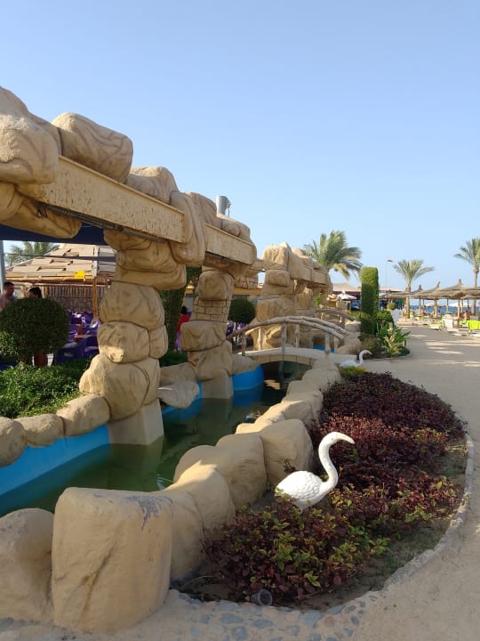 Sonstiges Seagull Beach Resort