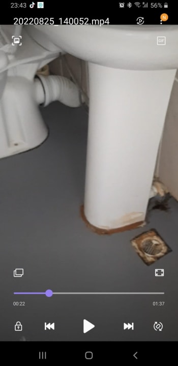 Zimmer Ayanya Beach & Bistro Bungalows