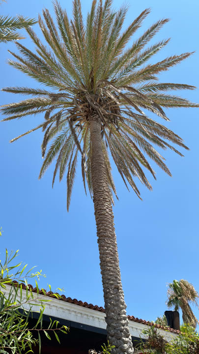 Gartenanlage Hotel Club Sera