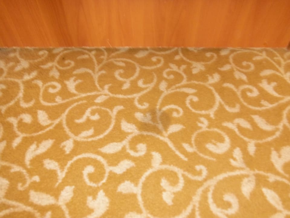 Verschmutzter Teppich Kaya Artemis Resort