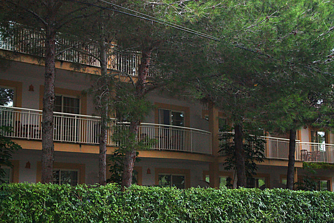 Die Bäume sorgen für (zuviel) Schatten  VIVA Cala Mesquida Suites & Spa 16+