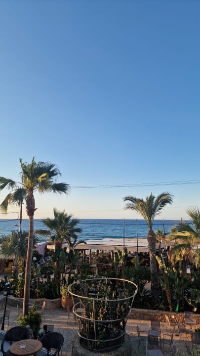 Gartenanlage Cactus Beach