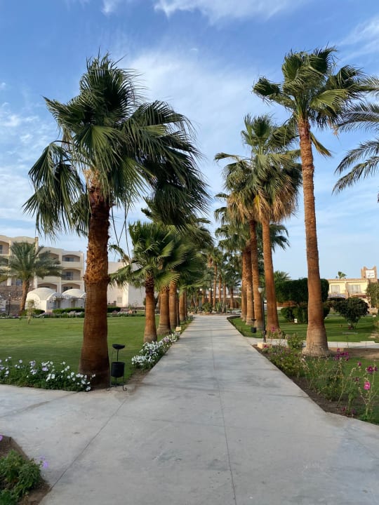 Gartenanlage Brayka Bay Resort