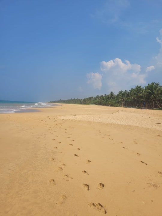 Strand Hotel Bentota Village