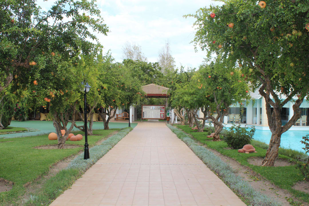 Der Weg zum Speisesaal Prinsotel La Dorada