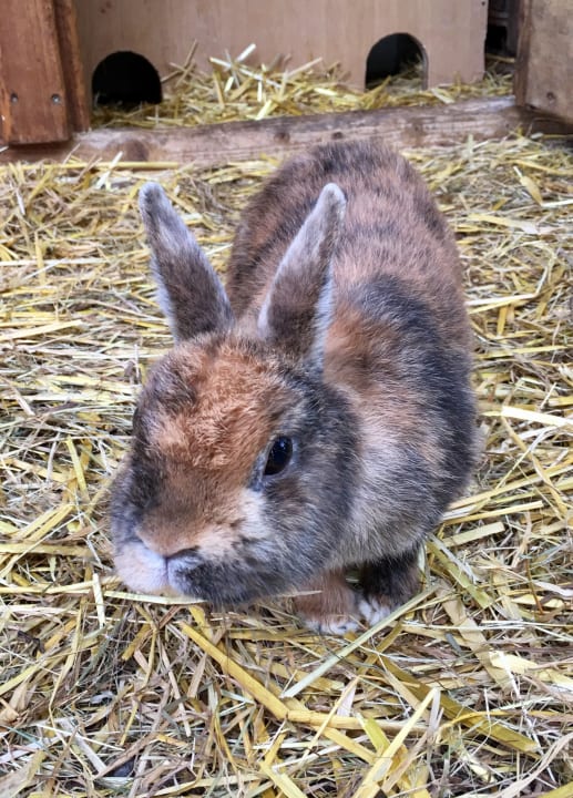 Sonstiges Ferienhof Grieshof