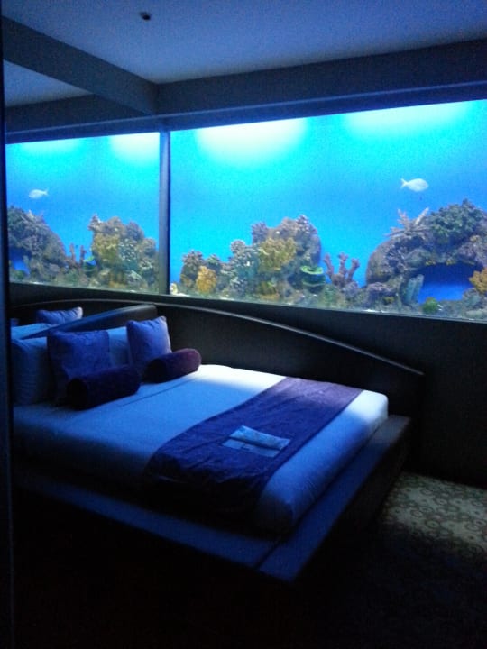 Aquaroom Hotel H2O