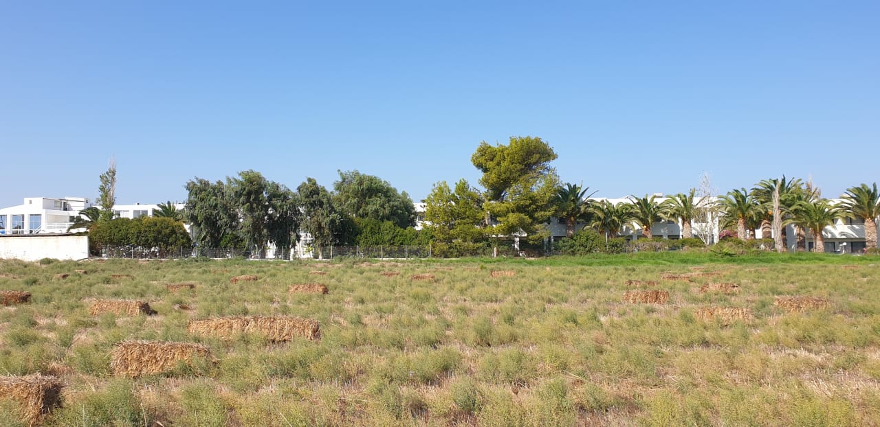 Außenansicht Smy Kos Beach & Splash