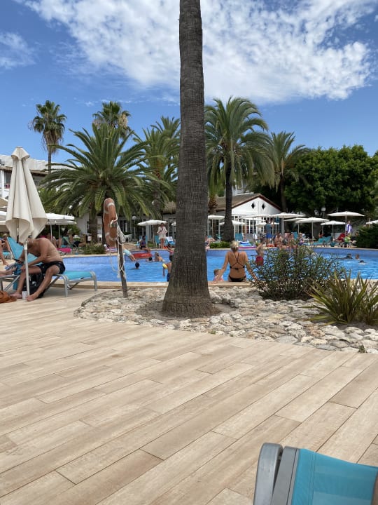Pool Alcudia Garden Aparthotel
