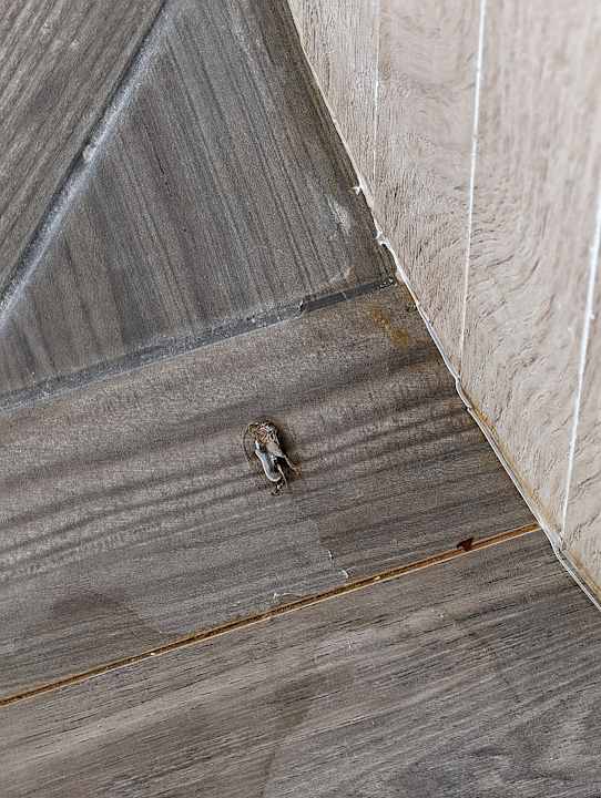 Zimmer Dream Fun World