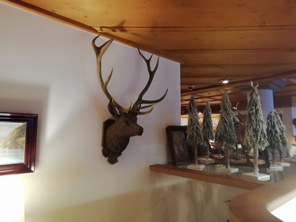 Gastro Hotel Zum Hirschen