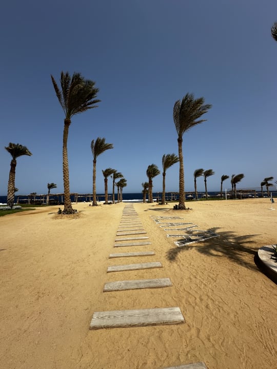 Strand Steigenberger Resort Alaya Marsa Alam - Red Sea - Adults only