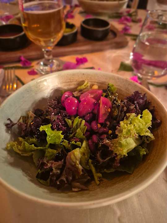 Gastro Dream Water World