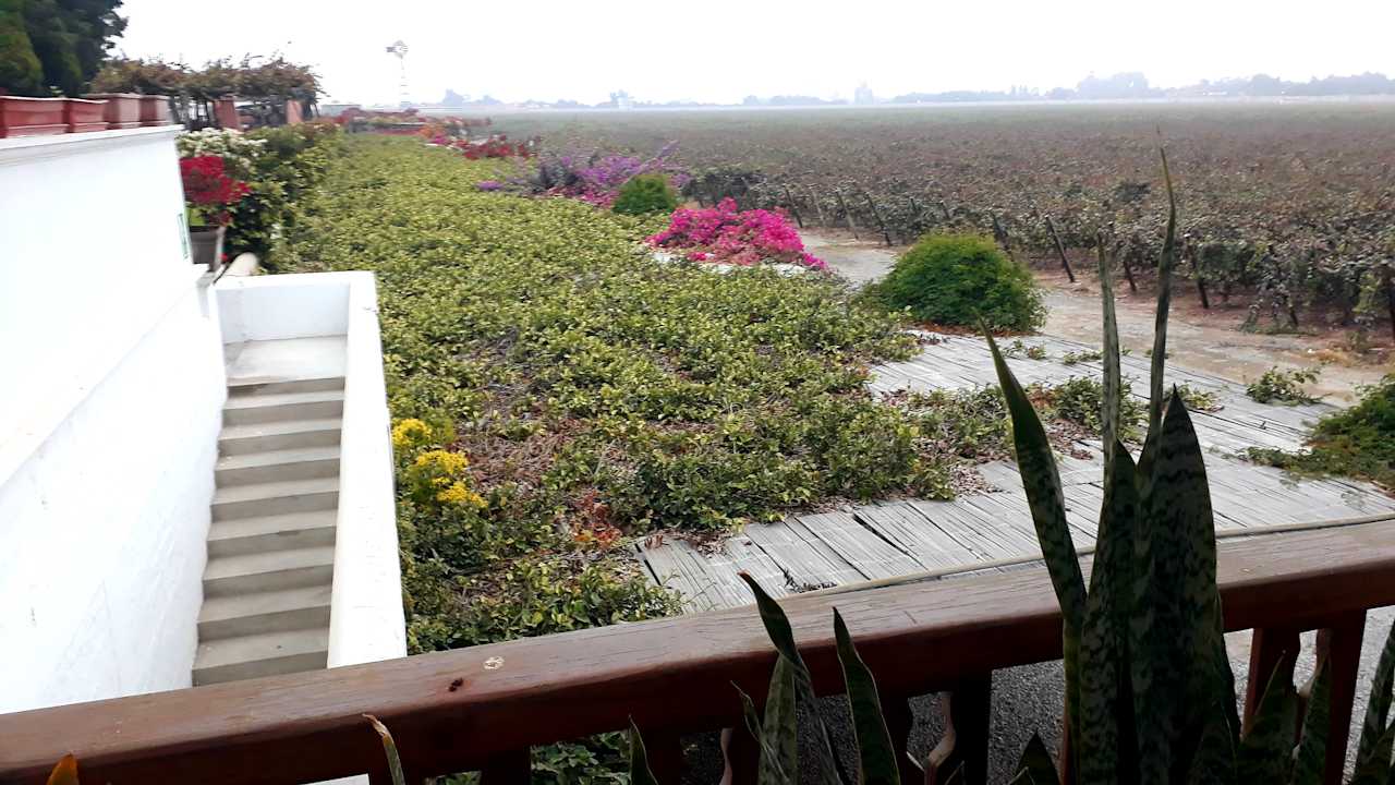 Ausblick Hotel Viñas Queirolo