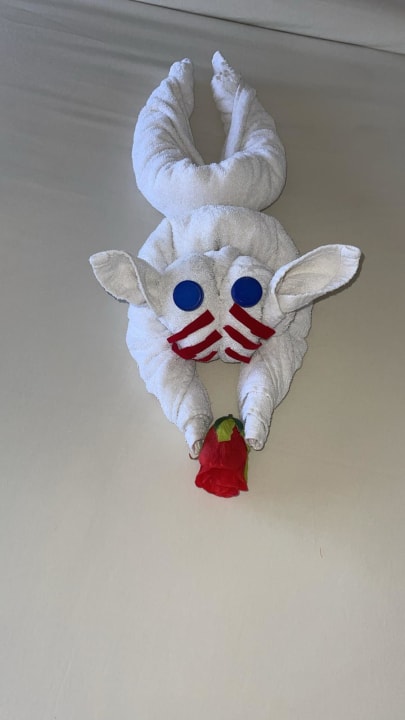 Zimmer Makadi Spa - Adults only