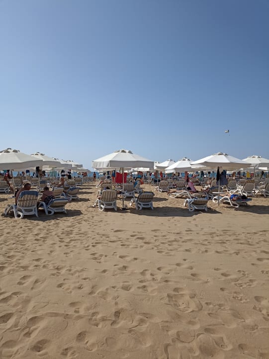 Strand TUI BLUE Xanthe