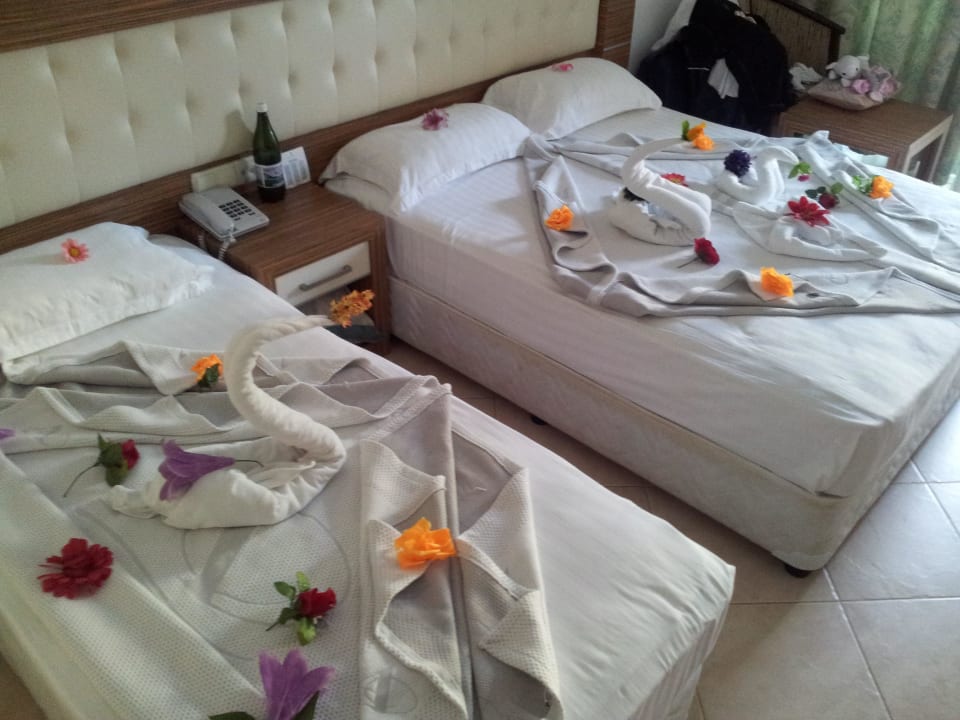 So sah es am 1. Morgen aus... Blue Diamond Alya