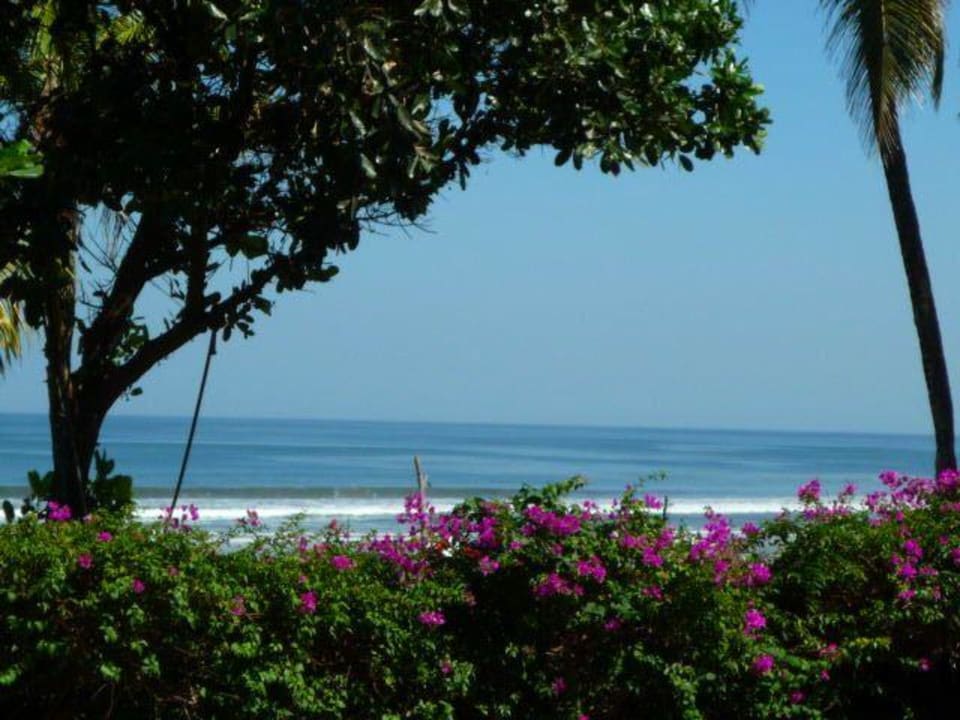  Plage  Padma Resort Legian  Legian   HolidayCheck Bali  