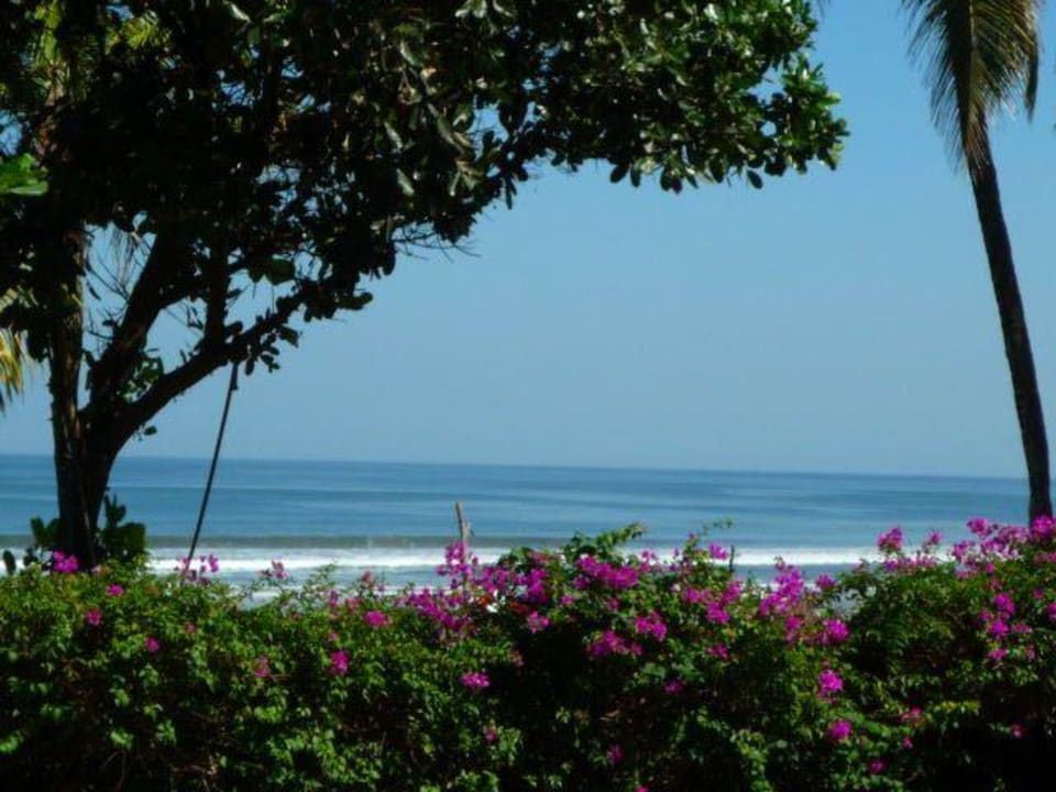 Plage Padma Resort Legian Legian HolidayCheck Bali Plage Padma Resort Legian Legian HolidayCheck Bali