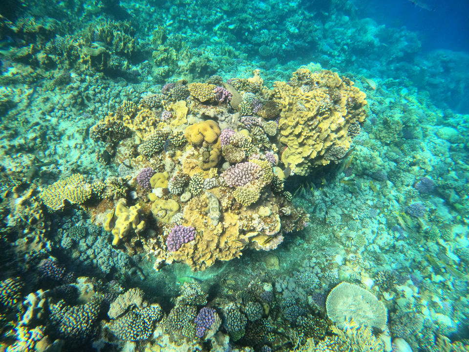 Strand Three Corners Happy Life Beach Resort