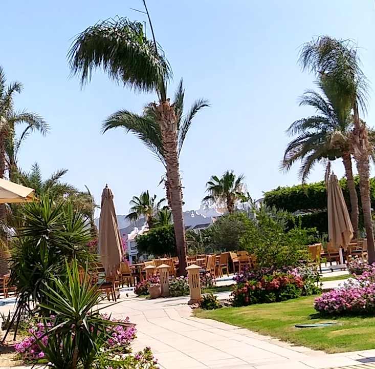 Gartenanlage Lahami Bay Beach Resort